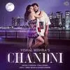  Chandni - Vishal Mishra Poster