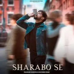 Sharabo Se Poster